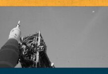 Artemis II та полярні сяйва: NASA готується до місячної місії на тлі сонячних бур