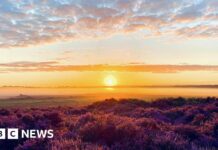 Фонд дикої природи Норфолка відзначає 100-річчя, надаючи безкоштовний доступ широкому загалу