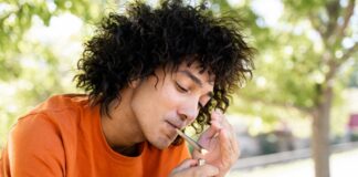 Наука про Невгамовний Апетит: Чому Канабіс Викликає Жахливий Голод