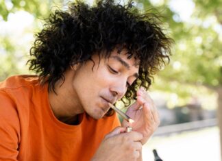 Наука про Невгамовний Апетит: Чому Канабіс Викликає Жахливий Голод