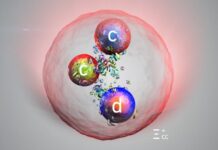 Відкриття Нової Тяжкої Частинки в CERN: Глибокіший Погляд на Будівельні Блоки Матерії