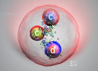 Відкриття Нової Тяжкої Частинки в CERN: Глибокіший Погляд на Будівельні Блоки Матерії
