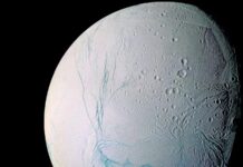 Neuer chemischer Test könnte außerirdisches Leben erkennen, auch wenn es völlig anders ist