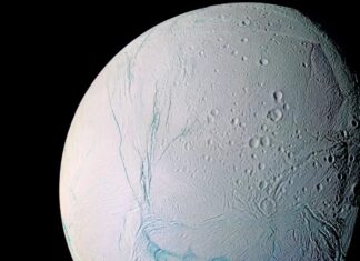 Новий хімічний тест може виявити позаземне життя, навіть якщо воно радикально відрізняється