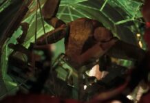 Звукова душа прибульця: як саунд-дизайнери створювали голос Роккі для «Проекту „Аве Марія“»