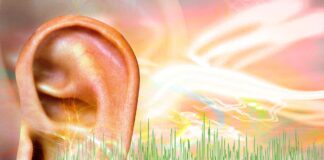 Зв’язок із серотоніном: як антидепресанти можуть впливати на тінітус