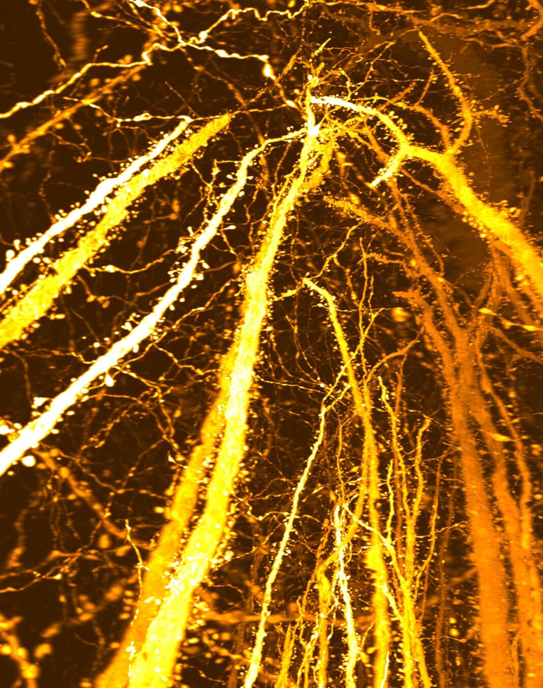 9206e990-dd9f-4581-9b4a-db1b6cb1773c