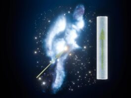 Riding a supernova’s ghost
