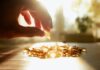 Vitamin D dan Usus: Hubungan yang Lebih Tenang