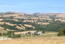 Why parts of Wales are facing drought status amid record heat