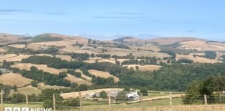 Why parts of Wales are facing drought status amid record heat