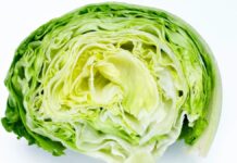 Por que o vinagre não impede a Cyclospora na alface ensacada