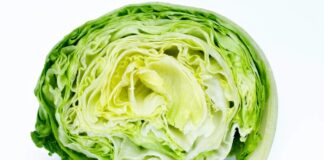 Por que o vinagre não impede a Cyclospora na alface ensacada