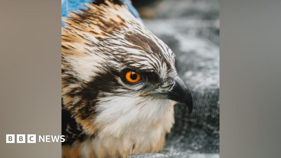 7933a3fc-a225-4809-baa2-8e007d53b0c4