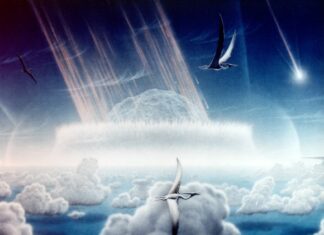 Динозаври могли бути знищені «Дивним» Space Rock