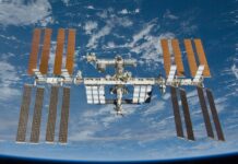 Kosmos drukuje narządy rzeczywistości
