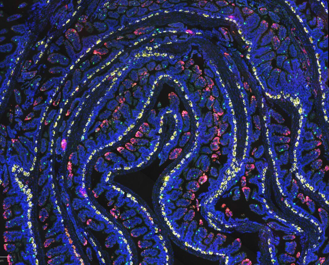 e954c391-82b5-46b1-aa52-ab6077002030