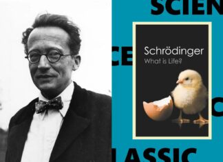 El fantasma de Schrödinger