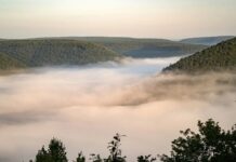 Живий туман: як повітряні бактерії змінюють кліматичні моделі
