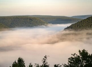 Живий туман: як повітряні бактерії змінюють кліматичні моделі